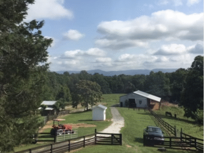 Mt Airy Horse Stables